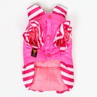 Курточка для собак с воланами, размер 3 (ДС 28,ОШ 30, ОГ 42 см), розовая - Фото 7