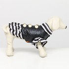 Курточка для собак с воланами, размер 2 (ДС 23,ОШ 26, ОГ 33 см), чёрная - Фото 2