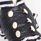Курточка для собак с воланами, размер 2 (ДС 23,ОШ 26, ОГ 33 см), чёрная - Фото 4