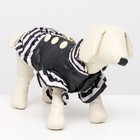 Курточка для собак с воланами, размер 4 (ДС 33,ОШ 35, ОГ 45 см), чёрная - фото 2665860