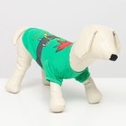 Новогодний костюм для животных "Гномик", XS (ДС 20, ОШ 22, ОГ 28 см) - Фото 1