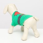 Новогодний костюм для животных "Гномик", XS (ДС 20, ОШ 22, ОГ 28 см) - Фото 3