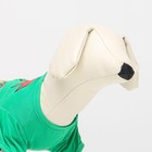 Новогодний костюм для животных "Гномик", XS (ДС 20, ОШ 22, ОГ 28 см) - Фото 5