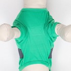 Новогодний костюм для животных "Гномик", XS (ДС 20, ОШ 22, ОГ 28 см) - Фото 6