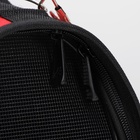 Сумка - переноска для животных «Весёлый жук», размер M, 45×21×27 см, красная - Фото 7