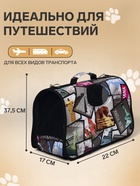 Сумка - переноска для животных "Путешественник", размер S, 37,5 х 17 х 22 см 6971599 - фото 16480214