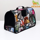 Сумка - переноска для животных «Путешественник», размер S, 37.5×17×22 см - Фото 4