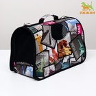 Сумка-переноска каркасная «Путешественник», размер L, 53×21×29 см - Фото 5