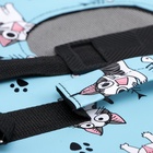 Сумка - переноска для животных «Играющие котики», голубая, размер M, 40×21×27 см - фото 57951539