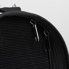 Сумка - переноска для животных «Играющие котики», размер M, 40×21×27 см голубая - Фото 7