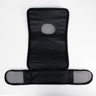 Сумка - переноска для животных «Играющие котики», размер M, 40×21×27 см голубая - Фото 9