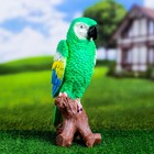 Садовая фигура "Попугай на коряге" 12х18х34см, зеленый - Фото 2