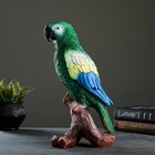 Садовая фигура "Попугай на коряге" 12х18х34см, зеленый - Фото 6