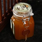 Мёд алтайский Липовый Premium, 1000 г - Фото 2