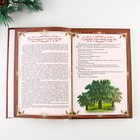 Родословная книга с пером в шкатулке «Сказочного нового года», 26 х 8 х 27 см, набор - Фото 9