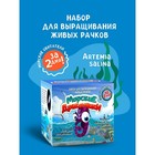 Набор химических опытов и экспериментов «Морские дракончики» - Фото 1