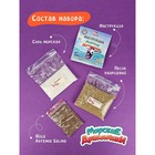 Набор химических опытов и экспериментов «Морские дракончики» - Фото 4