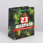 Пакет подарочный ламинированный вертикальный, упаковка, «Защитник», ML 23 х 27 х 11.5 см - Фото 1