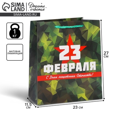 Пакет подарочный ламинированный, упаковка, «С 23 февраля», ML 23×27×11.5 см