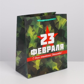 Пакет подарочный ламинированный вертикальный, упаковка, «С 23 февраля», ML 23 х 27 х 11.5 см (комплект 2 шт)