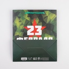 Пакет подарочный ламинированный вертикальный, упаковка, «С 23 февраля», ML 23 х 27 х 11.5 см 7112465 - фото 13846341