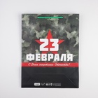 Пакет подарочный ламинированный вертикальный, упаковка, «С 23 февраля», L 31 х 40 х 11.5 см 7112474 - фото 13583439