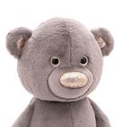 Мягкая игрушка «Медвежонок Пушистик» цвет какао, 35 см - фото 3738482