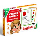 Развивающий набор пиши-стирай «Учимся писать. Vegetables», 15 карт, 4+ - Фото 6