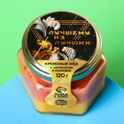 Кремовый мёд «Лучшему из лучших» с абрикосом и клюквой, 120 г. - фото 298660871
