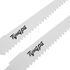 Полотна по дереву для сабельной пилы ТУНДРА, HCS, 125/150 х 4.3 мм, 2 шт. - фото 8676493