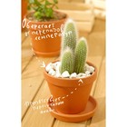 Мраморная крошка «Рецепты Дедушки Никиты», отборная, белая, фр 10-20 мм, 2 кг - Фото 4