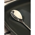 Ложка десертная из нержавеющей стали Magistro «Перо», длина 12.5 см, серебристая - Фото 2