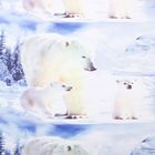 Постельное бельё "Этель Магнифико" 2.0 сп Белые медведи 180*210 см, 220*230 см, 50*70+3см - 2 шт. - Фото 3