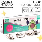 Металлические головоломки «Антиглупин», набор 4 шт. - Фото 1