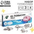 Металлические головоломки «IQ-повысин», набор 4 шт. - Фото 1