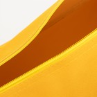 Сумка спортивная на молнии, наружный карман, цвет жёлтый 7338975 - фото 16716891