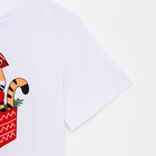 Пижама женская новогодняя (футболка и шорты) KAFTAN «Тигры» р.44-46 - фото 47134447