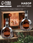 Набор для приготовления коньяка: набор трав и специй 2 шт., штоф 2 шт. - Фото 1