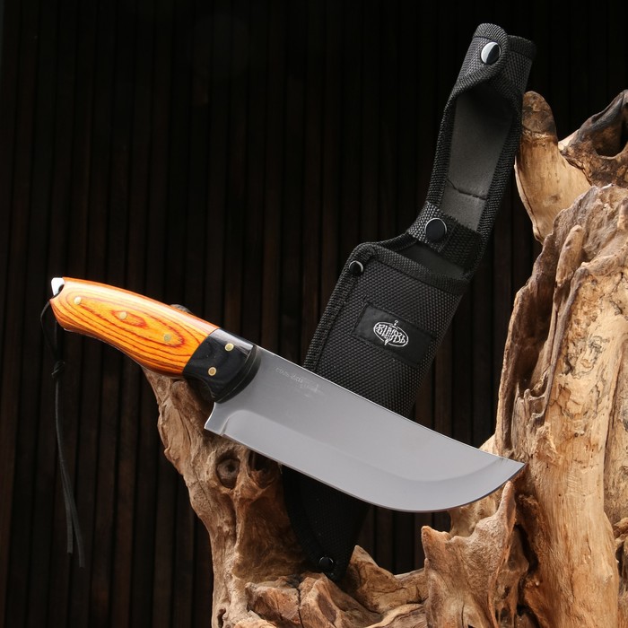 Нож охотничий &quot;Телец&quot; сталь - 40х13, рукоять - дерево, 29 см