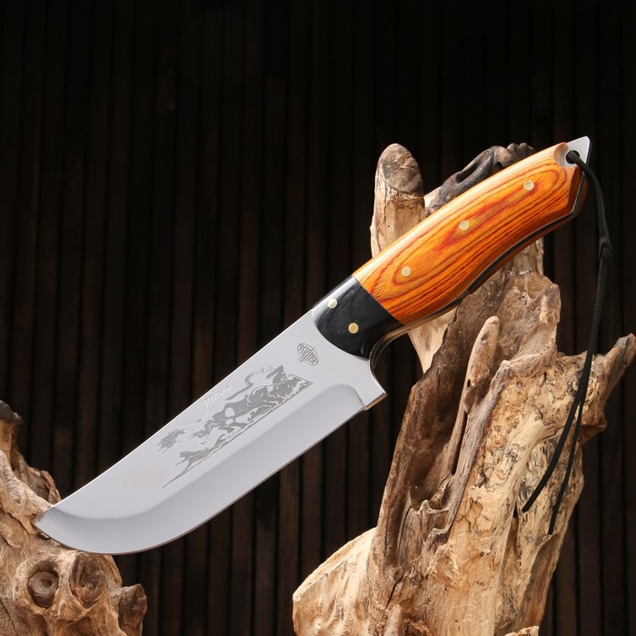 Нож охотничий "Телец" сталь - 40х13, рукоять - дерево, 29 см - фото 1905873411
