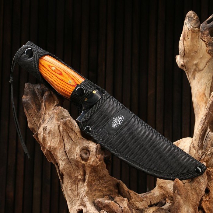 Нож охотничий "Телец" сталь - 40х13, рукоять - дерево, 29 см - фото 1905873412