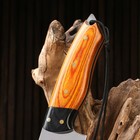 Нож охотничий "Телец" сталь - 40х13, рукоять - дерево, 29 см - Фото 5
