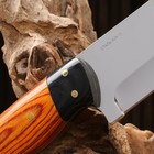 Нож охотничий "Телец" сталь - 40х13, рукоять - дерево, 29 см - Фото 6
