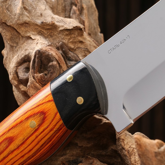 Нож охотничий "Телец" сталь - 40х13, рукоять - дерево, 29 см - фото 1905873415