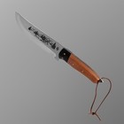 Нож охотничий "Телец" сталь - 40х13, рукоять - дерево, 29 см - Фото 7