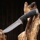 Нож охотничий "Плёс" сталь - 95х18. рукоять - сталь / резина, 25 см - Фото 2