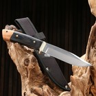 Нож охотничий "Иркутск" сталь - 40х13, рукоять - дерево, 24 см - фото 318691996
