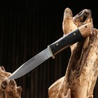 Нож охотничий "Иркутск" сталь - 40х13, рукоять - дерево, 24 см - Фото 2
