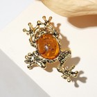 Брошь «Янтарь» лягушка с кабошоном, цвет коньячный 1310408 - Фото 1