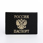 Обложка для паспорта, цвет чёрный - фото 6493055
